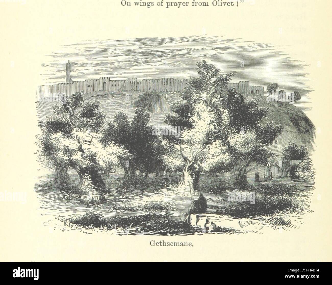 Libre à partir de la page 94 de "Rambles in Bible Lands' . Banque D'Images