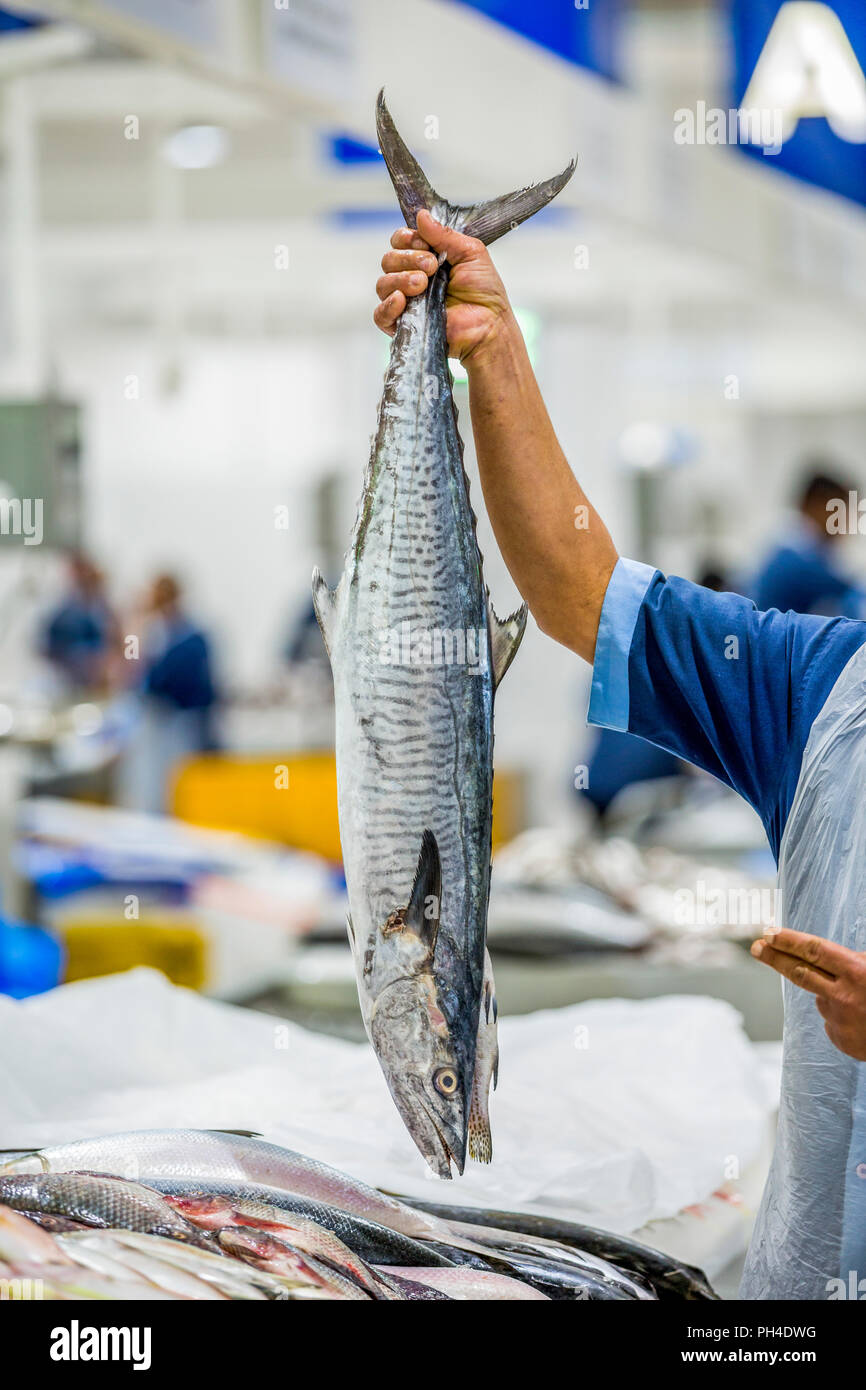 Sales man holding Fresh poissons barracuda brutes du marché en Banque D'Images