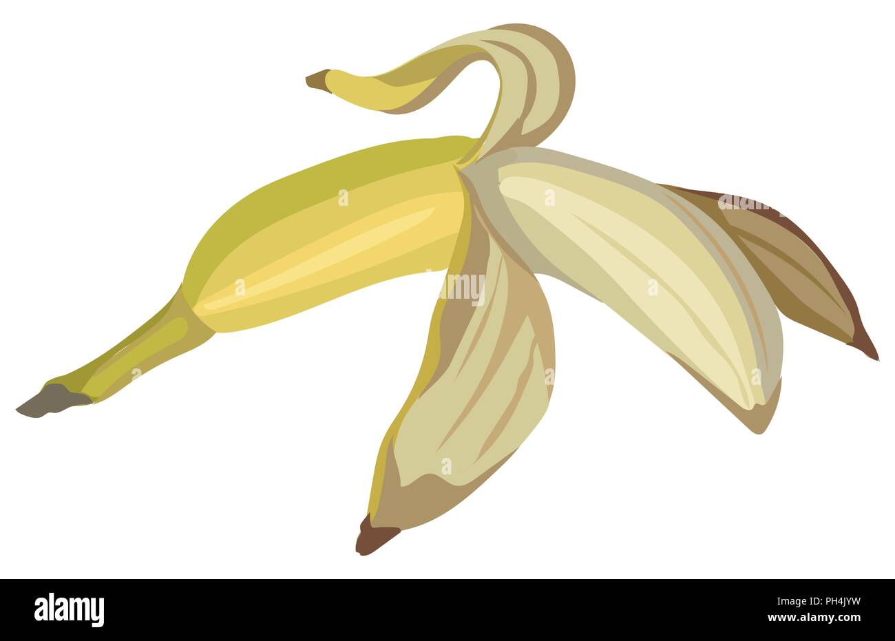 La banane. Vector illustration colorées isolé sur fond blanc. Illustration de Vecteur