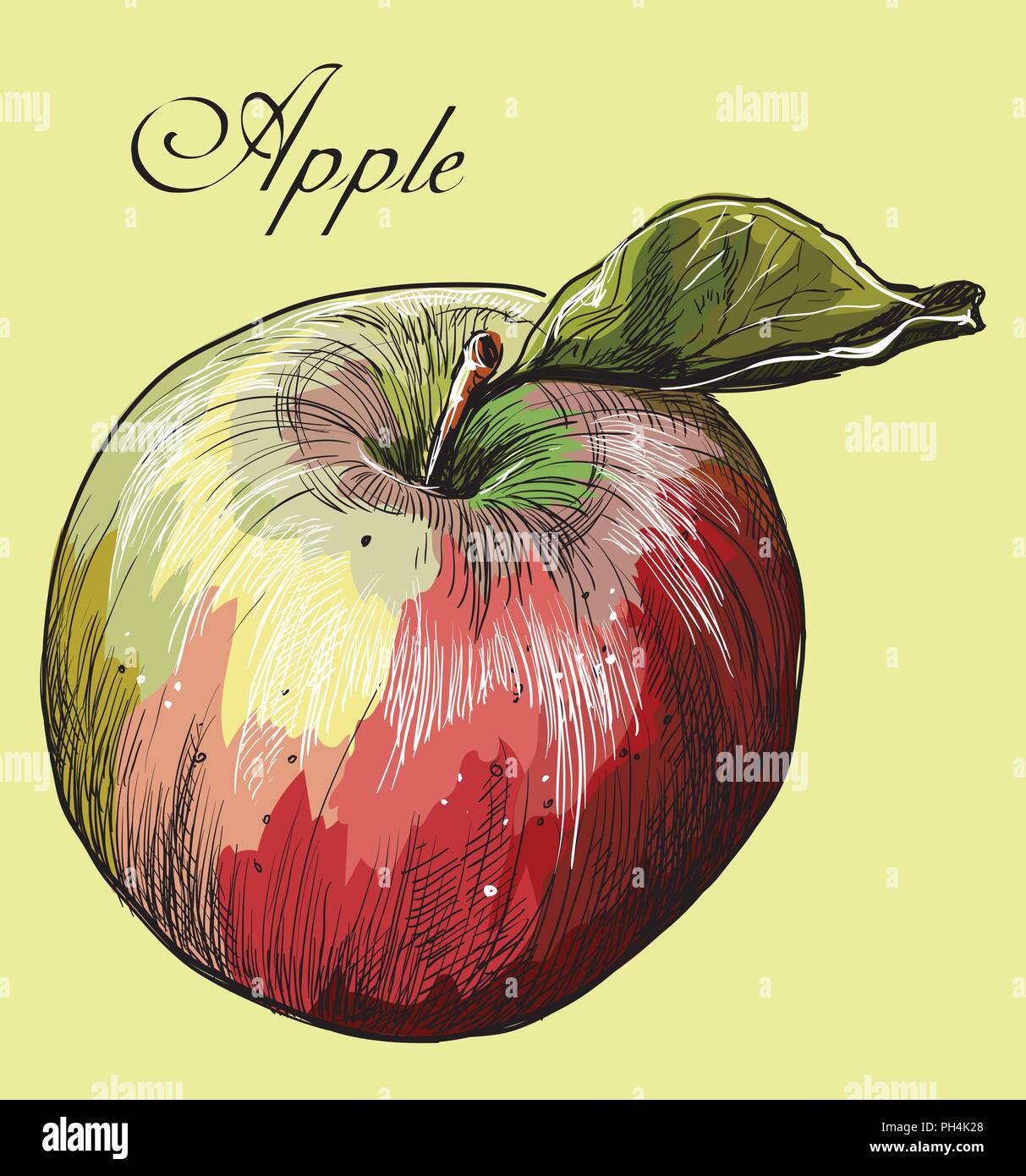 Fruits à la main- d'Apple. Vector illustration colorées isolé sur fond jaune. Illustration de Vecteur