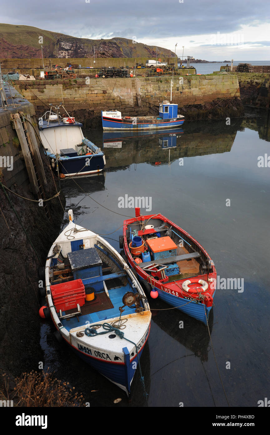 Bateaux amarrés dans le port de St Abbs, près de Eyemouth, Berwickshire, Ecosse, Royaume-Uni Banque D'Images