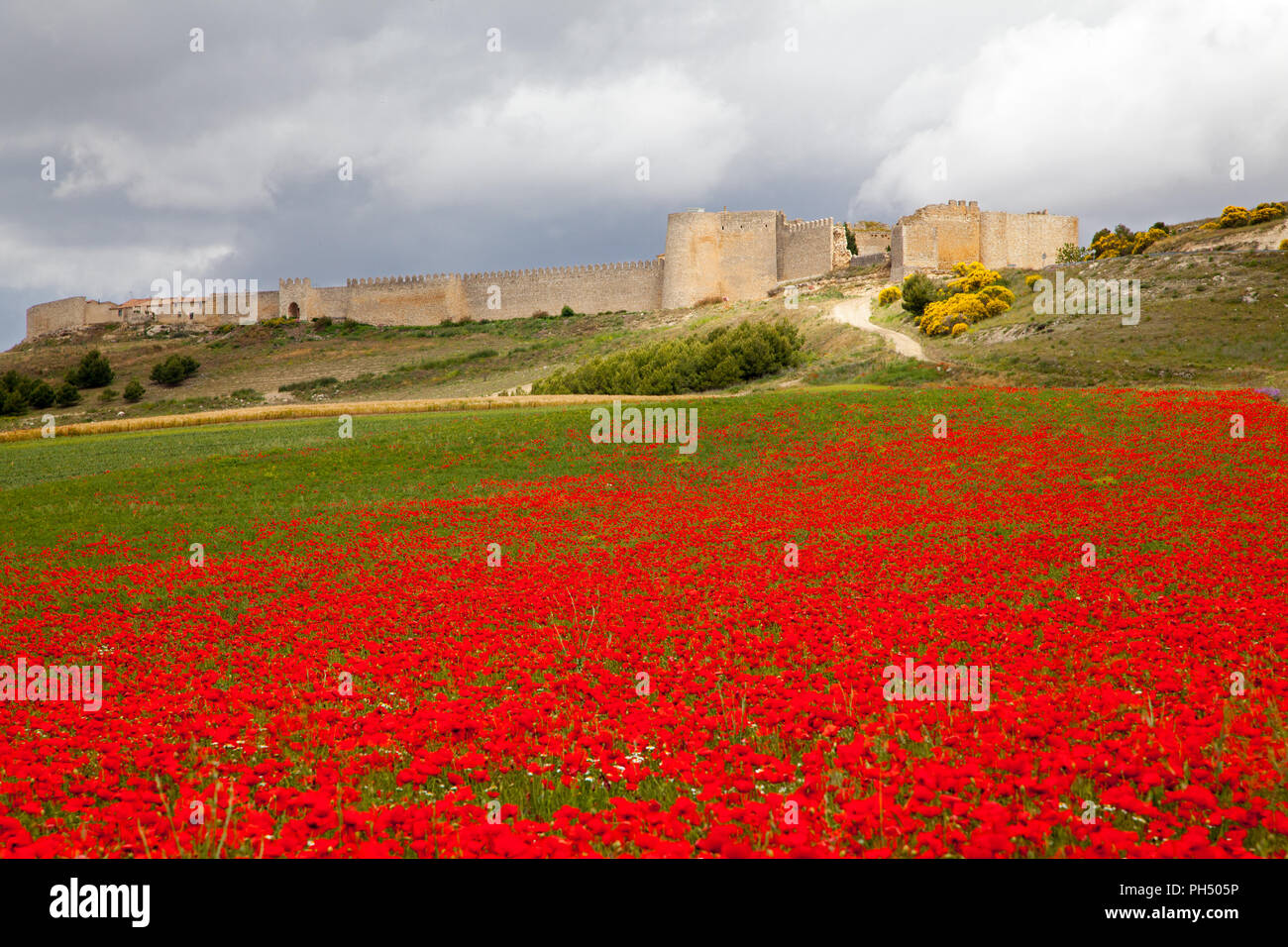 La ville médiévale fortifiée espagnole de Uruena dans la région de Valladolid Castille et Leon Espagne connu sous le nom de Villa del Libro la ville de books Banque D'Images