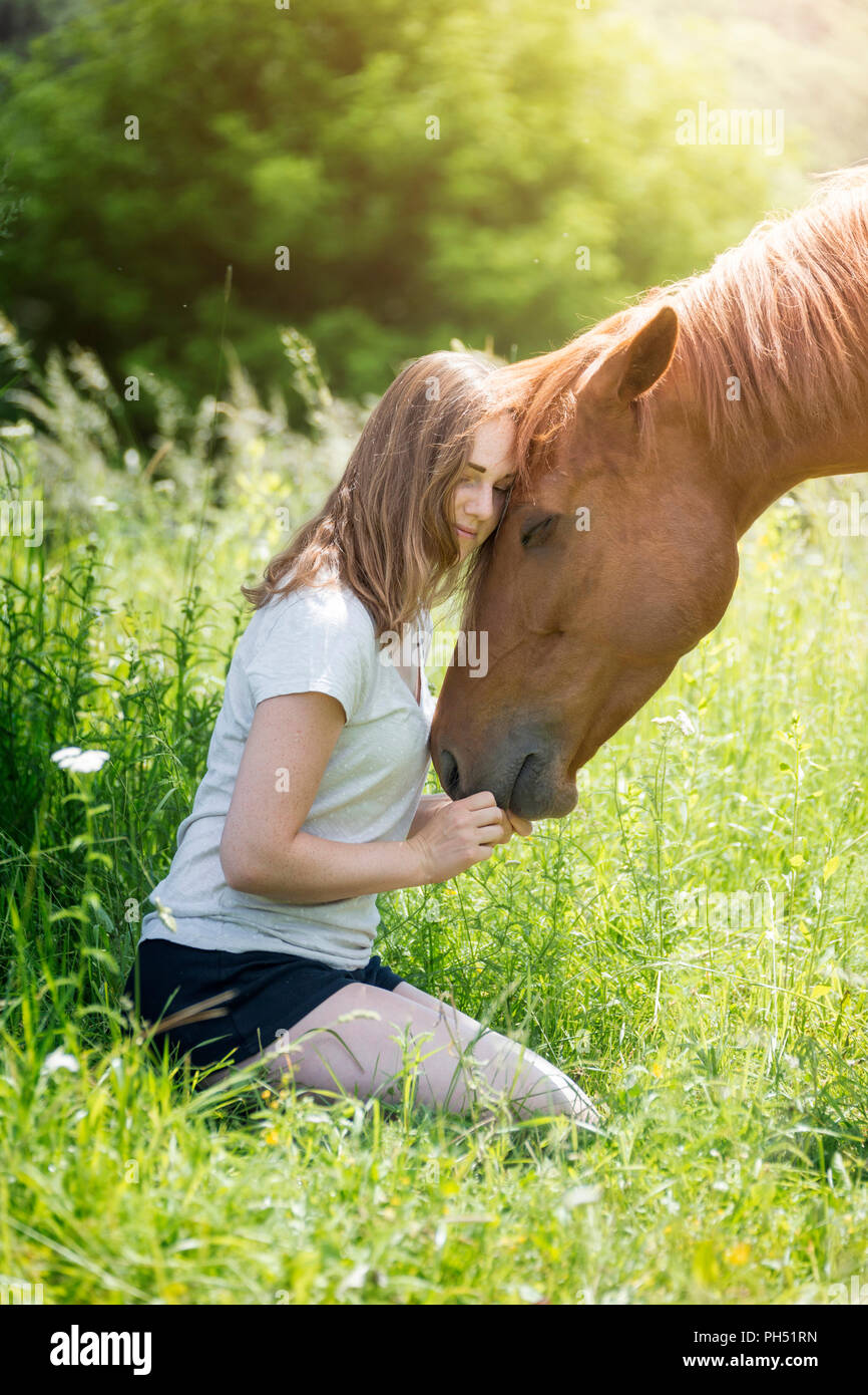 American Quarter Horse. Girl petting hongre alezan sur un pré. L'Autriche Banque D'Images