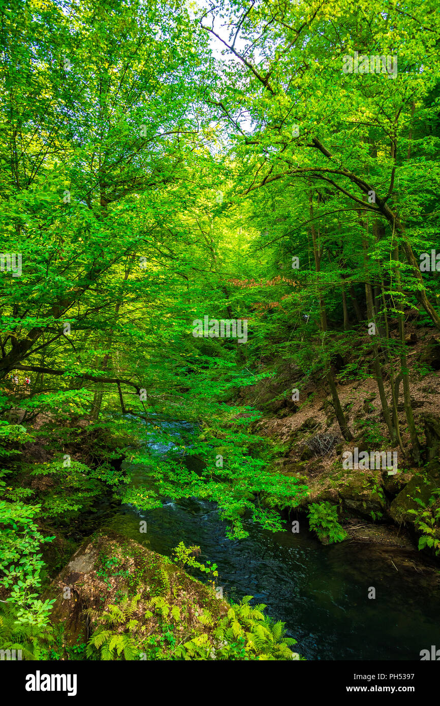 La Gorge dans Saxon-Bohemian Kamnitz Suisse, République Tchèque Banque D'Images