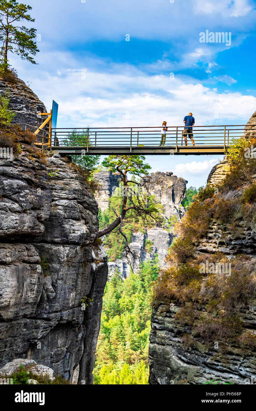 Les montagnes de grès de l'Elbe fait partie de la Suisse Saxonne Parc National en Allemagne Banque D'Images