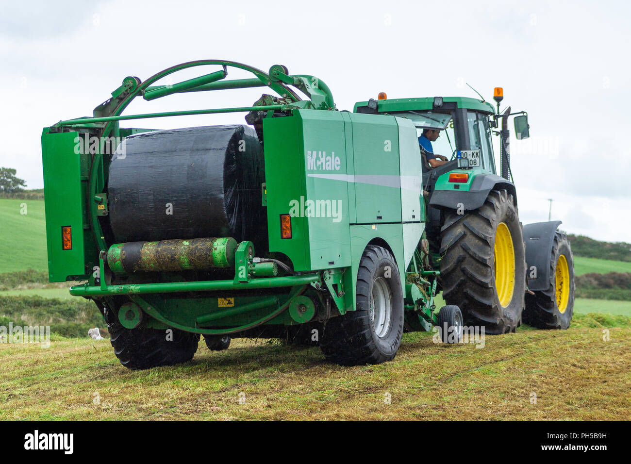 L'ensilage en balles McHale feuille de plastique noir sur une ferme en Irlande Banque D'Images
