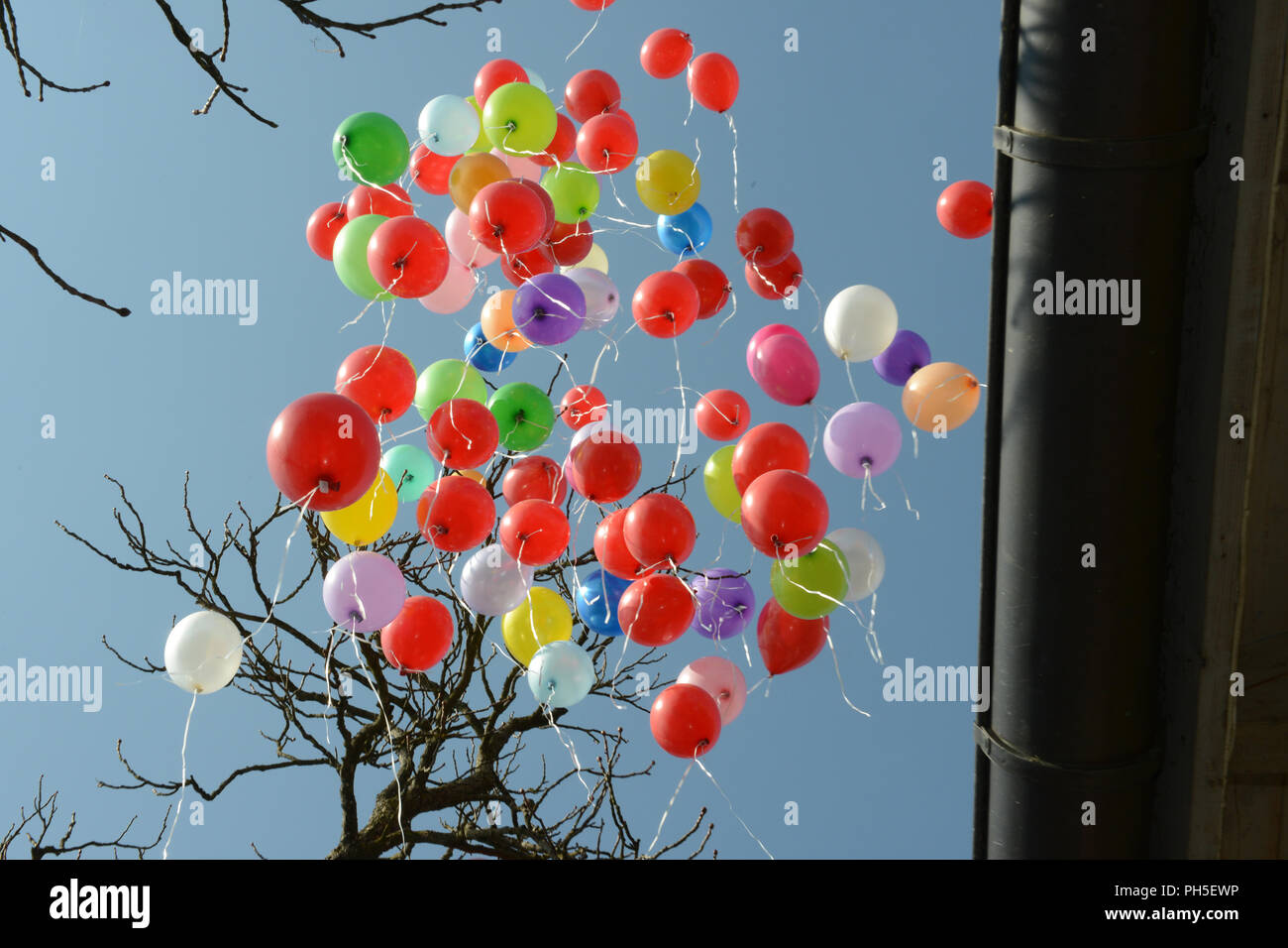 Ballons colorés lors d'une cérémonie de mariage Banque D'Images