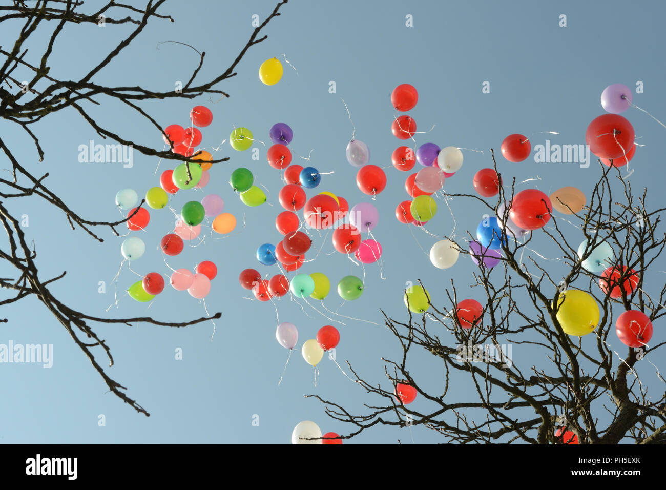 Ballons colorés lors d'une cérémonie de mariage Banque D'Images