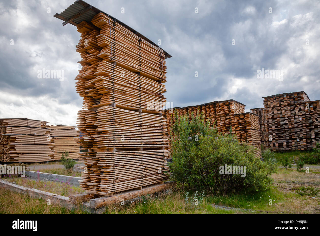 Des piles de planches en bois de séchage à l'air pour réduire l'humidité - l'industrie du bois d'assaisonnement dans bois Banque D'Images