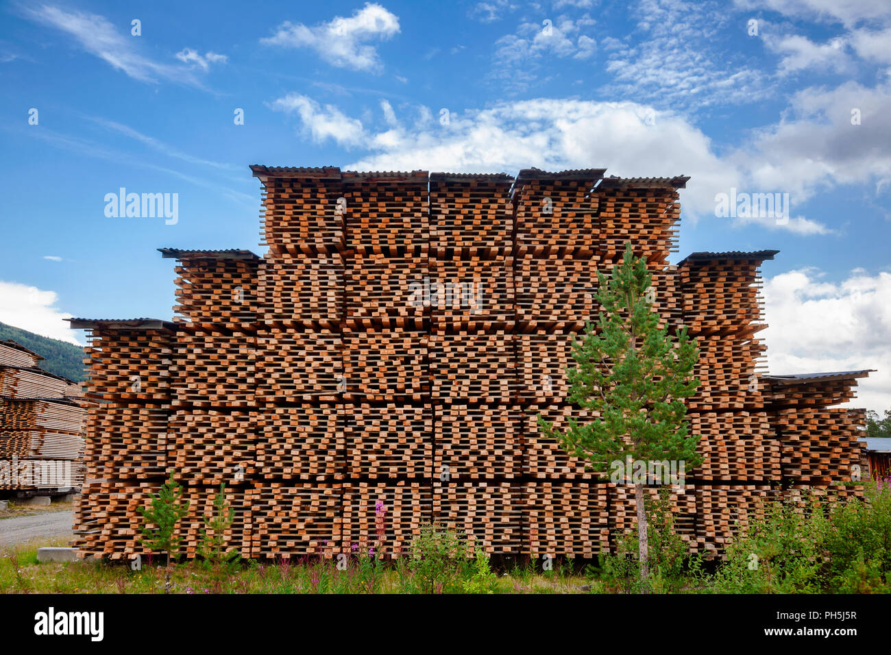 Des piles de planches en bois de séchage à l'air pour réduire l'humidité - l'industrie du bois d'assaisonnement dans bois Banque D'Images