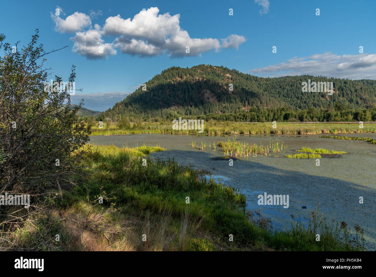 Thompson Lake Wildlife Refuge Banque D'Images