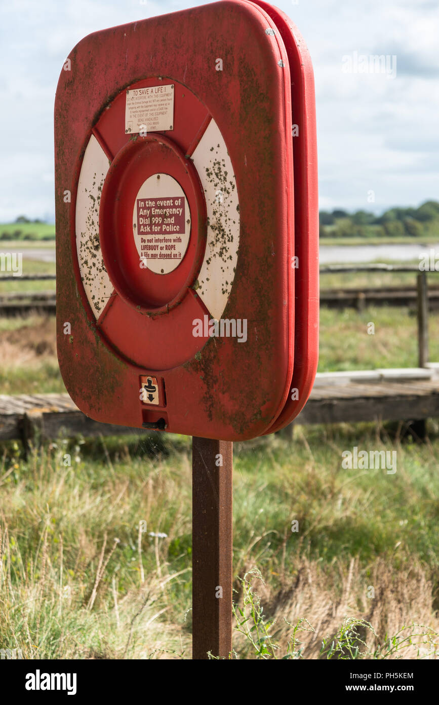 Portrait d'une vie d'urgence en cas de son anneau sur un post, le long de la rivière de la rivière Wyre, dans le Lancashire, Angleterre, RU Banque D'Images