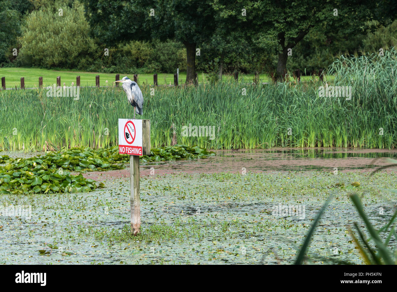 Gratuit Images Humour Wildlife Photos Humour Wildlife Images Alamy dernière par