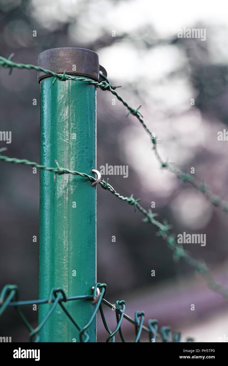 Barbelés, couleur verte, la sécurisation de la propriété privée Banque D'Images