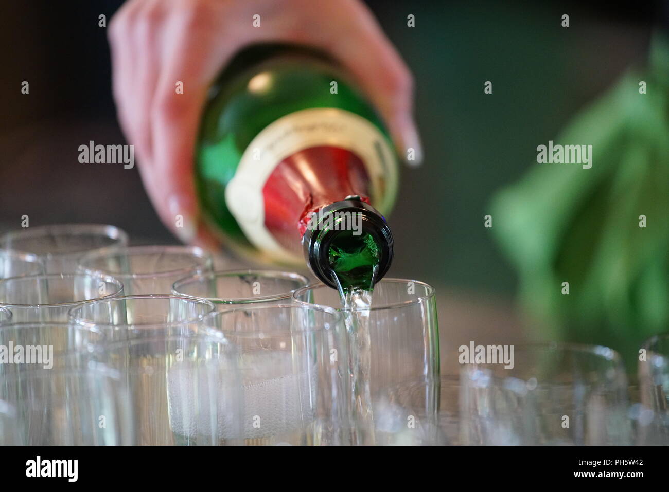 Libre de main tenant une bouteille de vin mousseux, verser le champagne dans les tasses Banque D'Images