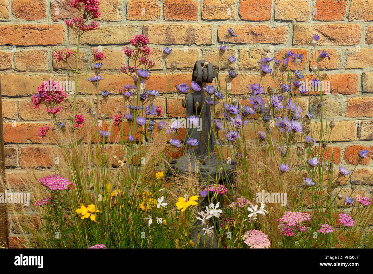 Combinaison de fleurs d'été inspirantes et créatives pour les petits jardins. Banque D'Images