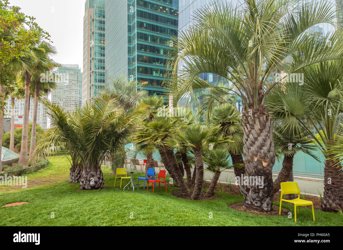 Variété d'espèces de palmiers, avec des chaises, au parc sur le toit Saleforce, San Francisco, California, United States. Banque D'Images
