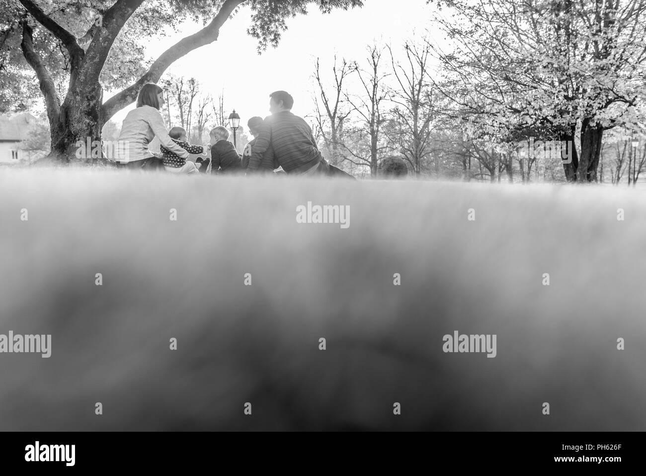 Image Monochrome d'une jeune famille avec enfants se détendre sur l'herbe sous un arbre vu low angle sur la pelouse de l'arrière. Banque D'Images