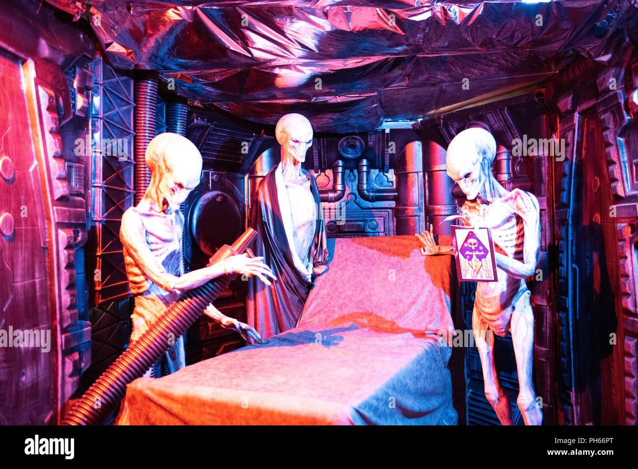 Pine Bush, NY /USA - 9 juin 2018 : Banque D'Images