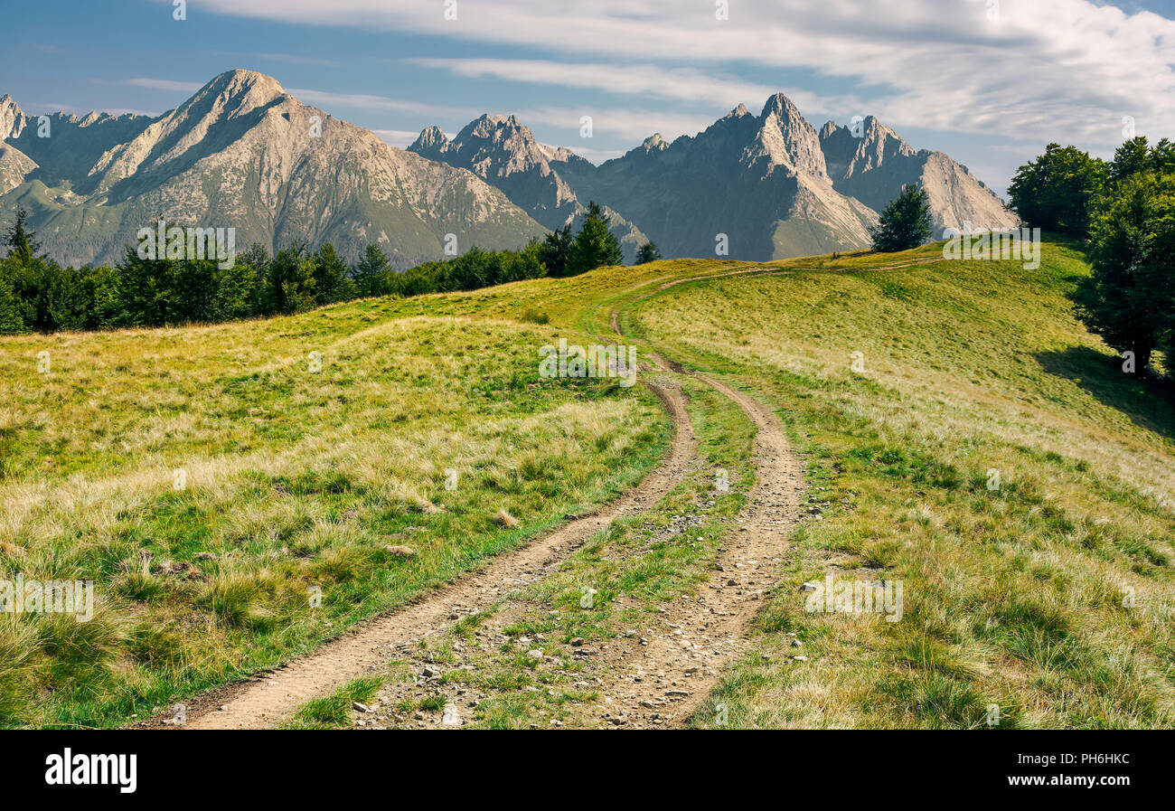 Paysage avec composite haute Tatras. route de campagne à la lointaine forêt le long de la prairie herbeuse. joli paysage d'été Banque D'Images