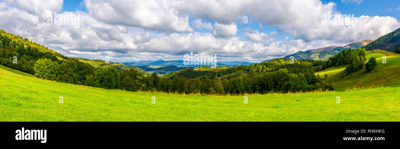 Panorama de vert prairie alpine à l'automne. de collines boisées et de montagnes lointaines par beau temps. Banque D'Images