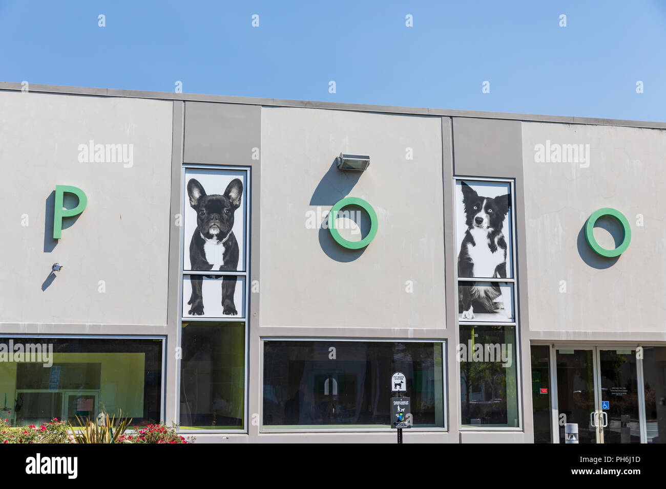 POO ; chiens et lettres sur façade Banque D'Images