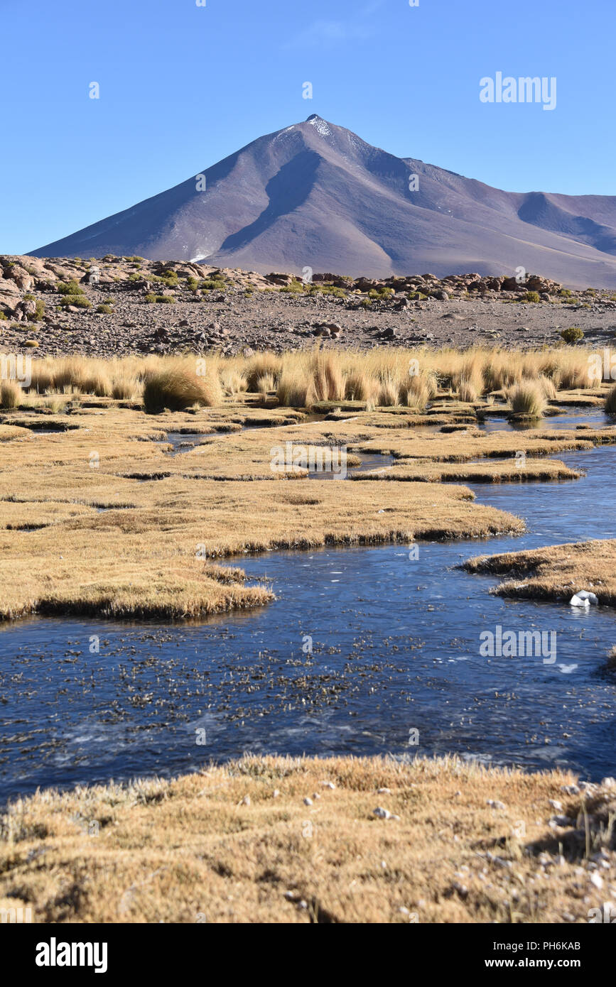 Les marais de haute altitude et des paysages volcaniques près de Quetana Grande dans la réserve nationale Eduardo Avaroa, Bolivie Banque D'Images