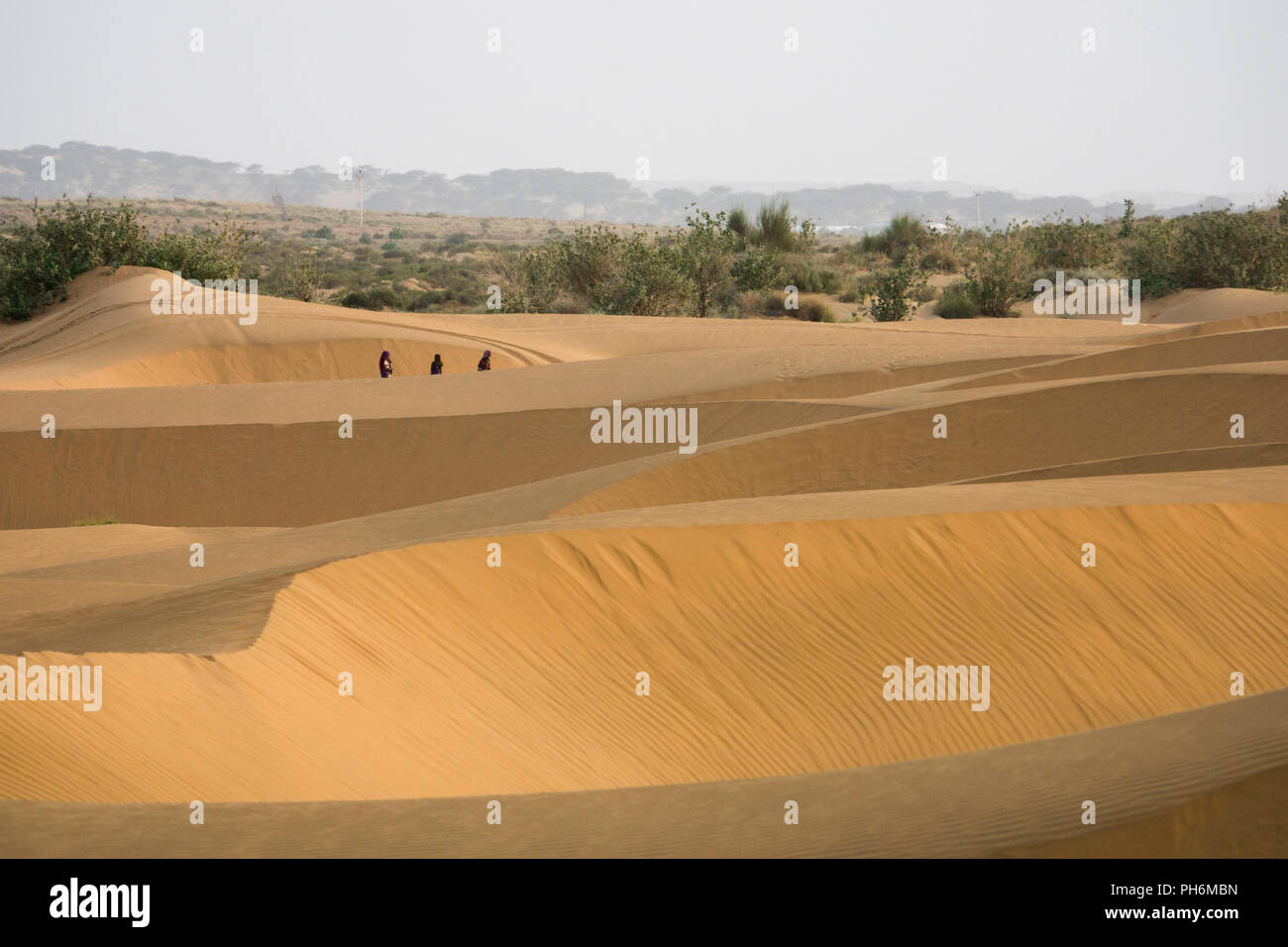 Nomades marchant dans le désert de Thar près de Jaisalmer, Rajasthan, Inde Banque D'Images
