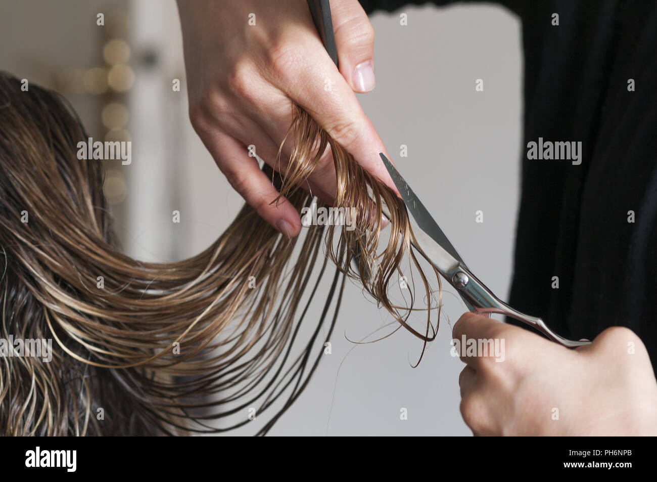 Femme se couper les cheveux. Banque D'Images