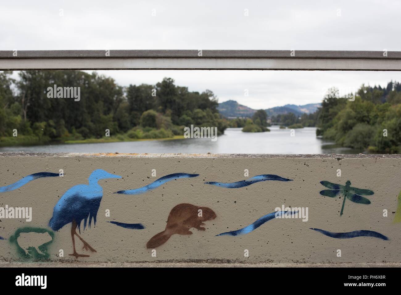 Une murale sur le thème de la nature une passerelle au-dessus de la rivière Willamette à Eugene, Oregon, USA. Banque D'Images
