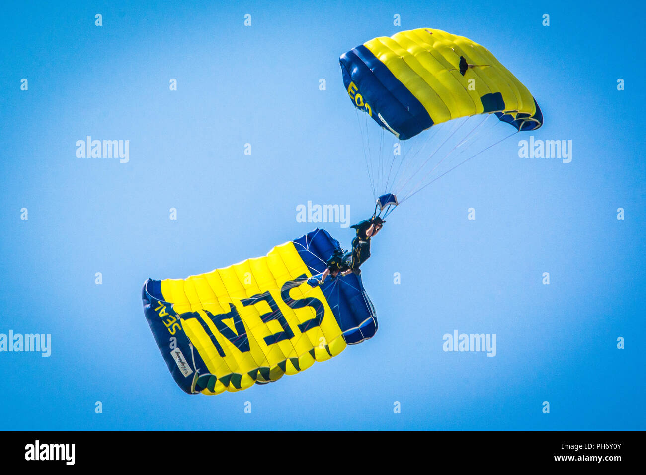 Les membres de l'équipe de parachutistes de la Marine américaine, le saut de grenouilles, d'effectuer des techniques de parachutisme pendant le son de la vitesse Air Show et portes ouvertes au-dessus de Rosecrans Memorial Airport, St., 24 août 2018. Le spectacle aérien a été accueilli par le 139e Airlift Wing et la ville de Saint Joseph pour remercier la communauté pour leur soutien. Le comité de spectacle aérien estimées à 70 000 personnes ont assisté au cours du week-end performances. (U.S. Photo de la Garde nationale aérienne par le sergent. Patrick Evenson) Banque D'Images Les membres de l'équipe de parachutistes de la Marine américaine, le saut de grenouilles, d'effectuer des techniques de parachutisme pendant le son de la vitesse Air Show et portes ouvertes au-dessus de Rosecrans Memorial Airport, St., 24 août 2018. Le spectacle aérien a été accueilli par le 139e Airlift Wing et la ville de Saint Joseph pour remercier la communauté pour leur soutien. Le comité de spectacle aérien estimées à 70 000 personnes ont assisté au cours du week-end performances. (U.S. Photo de la Garde nationale aérienne par le sergent. Patrick Evenson) Banque D'Images