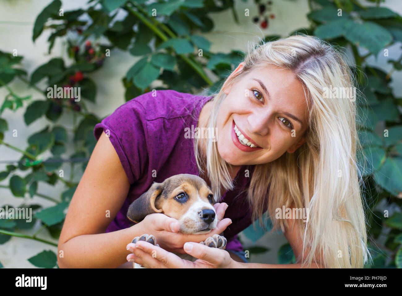 Happy blonde woman cuddling avec mignon chiot beagle. L'amour pur Banque D'Images
