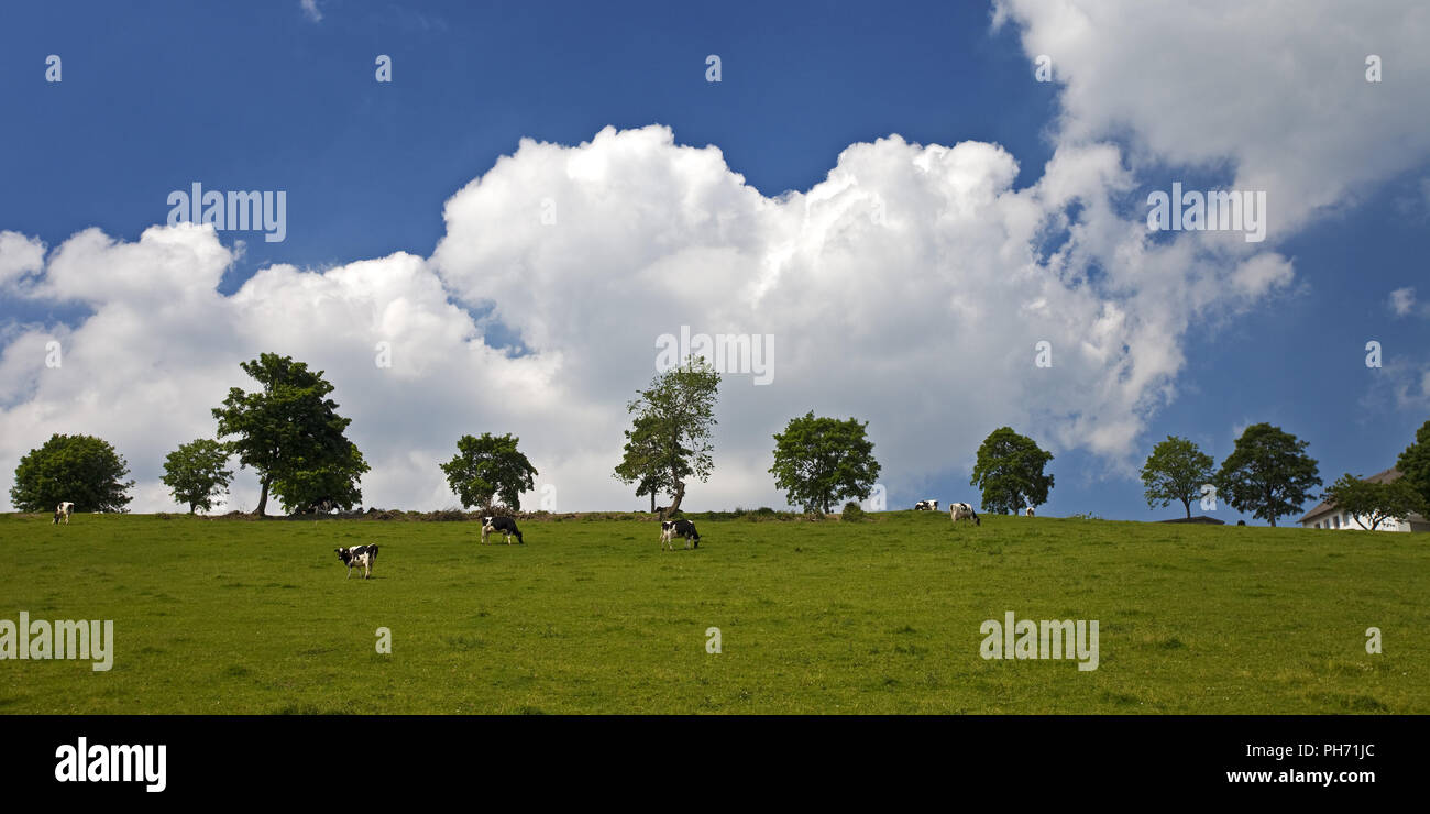 Paysage de Nachrodt Wiblingwerde en Allemagne. Banque D'Images