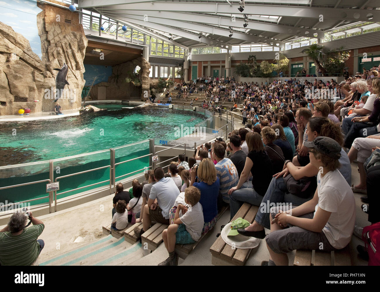 Les gens dans le delphinarium, le zoo de Duisburg, Allemagne. Banque D'Images