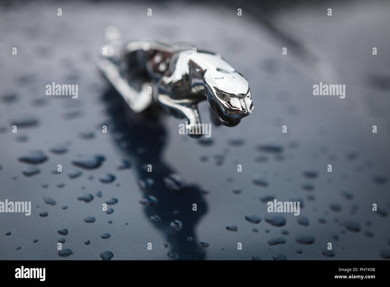 Varsovie, Pologne - 25 août 2018 : Hood ornament (sauts) Jaguar Jaguar sur une voiture. . Fondée en 1922, Jaguar est un constructeur automobile de luxe britannique basée Banque D'Images