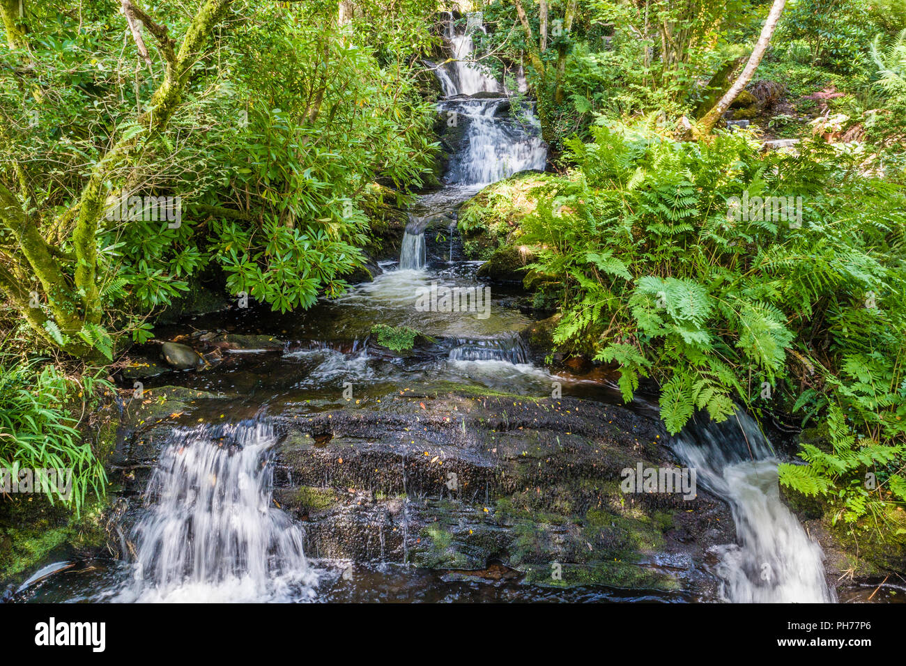 Petite rivière et cascade en privé, jardin irlandais Templenoe, Kenmare, comté de Kerry, Irlande Banque D'Images