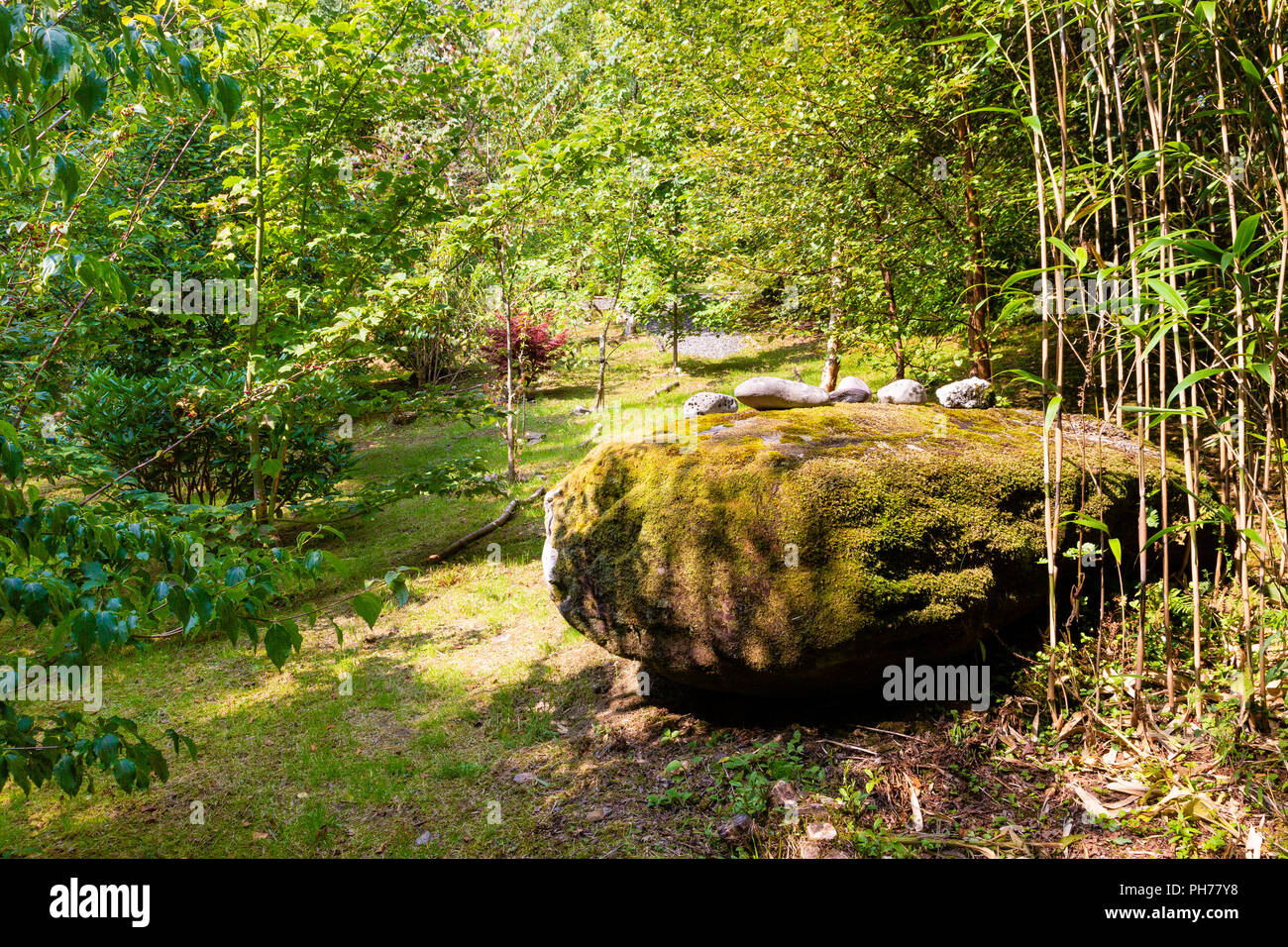 Grand rocher dans le jardin de l'Irlande Banque D'Images