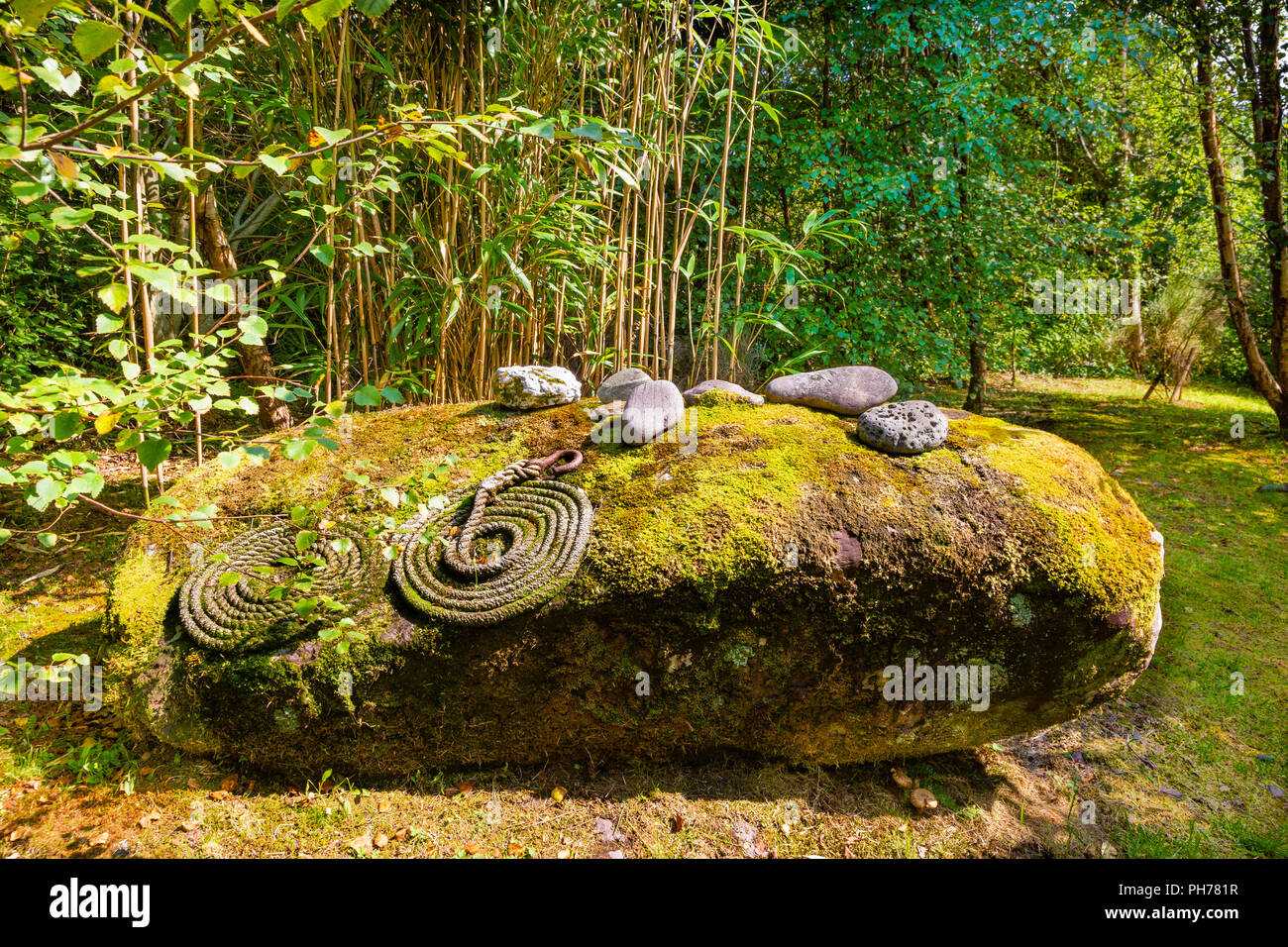 Grand rocher dans le jardin de l'Irlande Banque D'Images