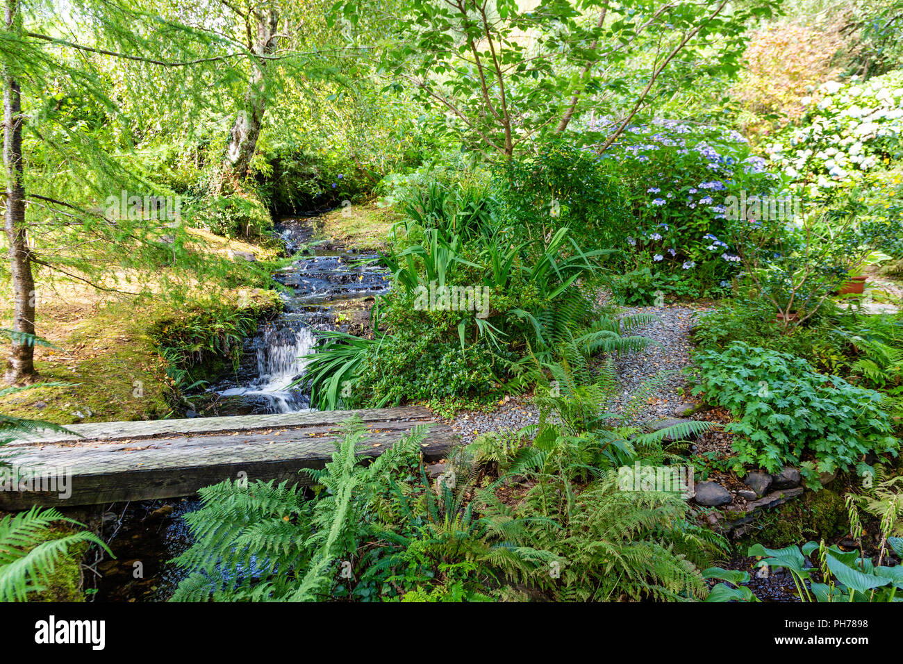 Petite rivière et cascade en privé, jardin irlandais Templenoe, Kenmare, comté de Kerry, Irlande Banque D'Images