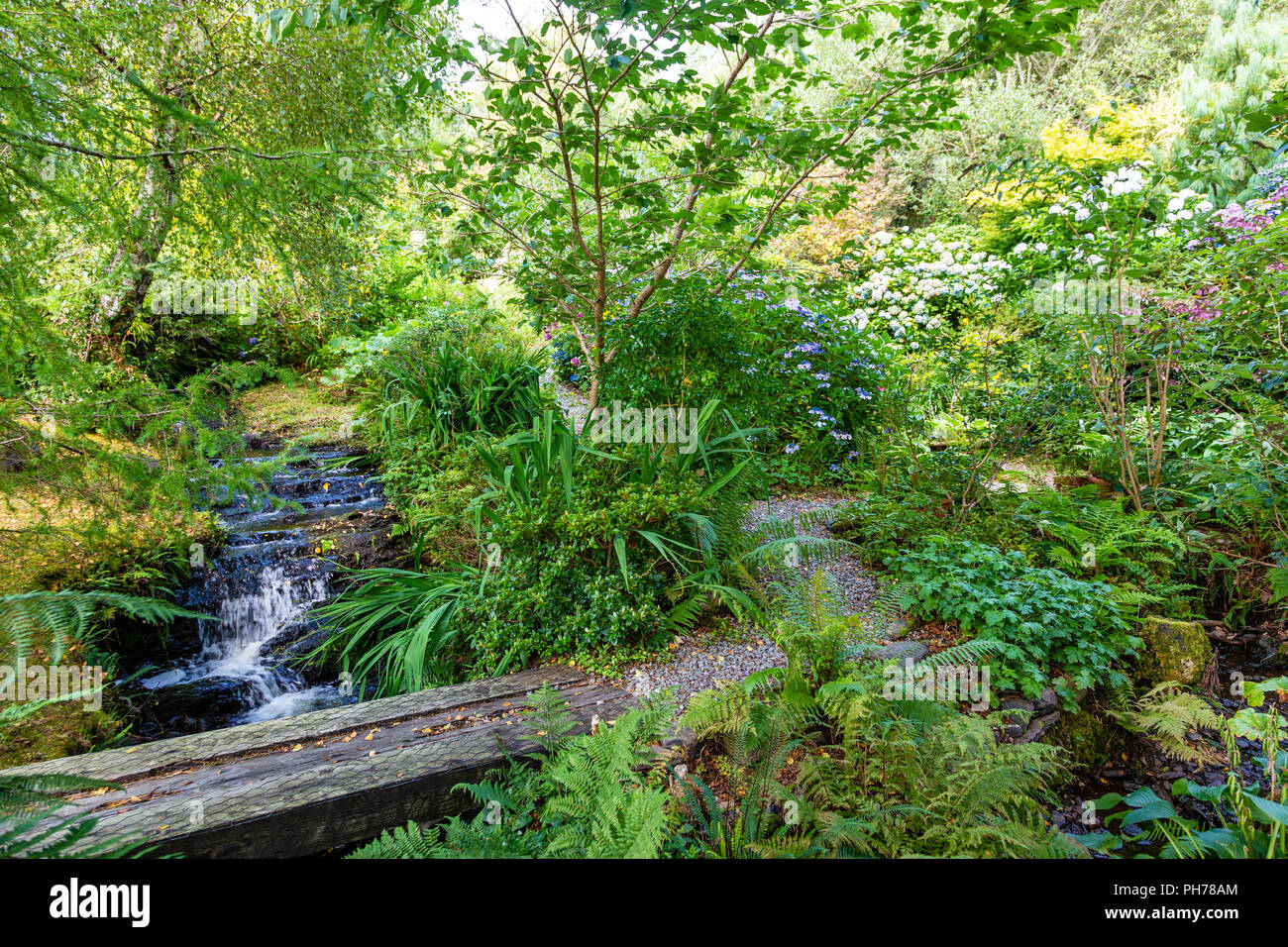 Petite rivière et cascade en privé, jardin irlandais Templenoe, Kenmare, comté de Kerry, Irlande Banque D'Images