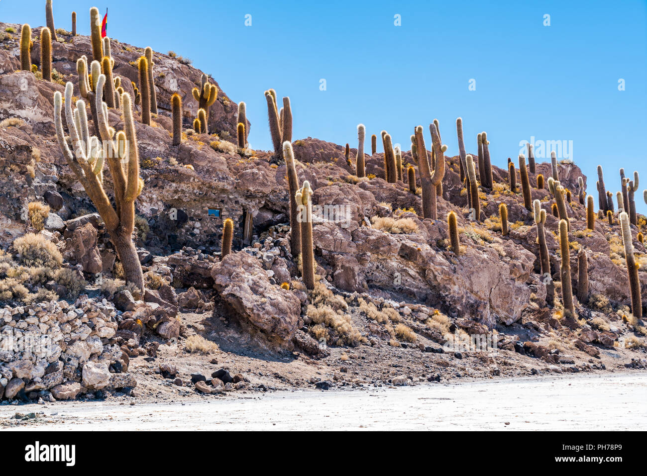 L'île de Incahuasi Banque D'Images