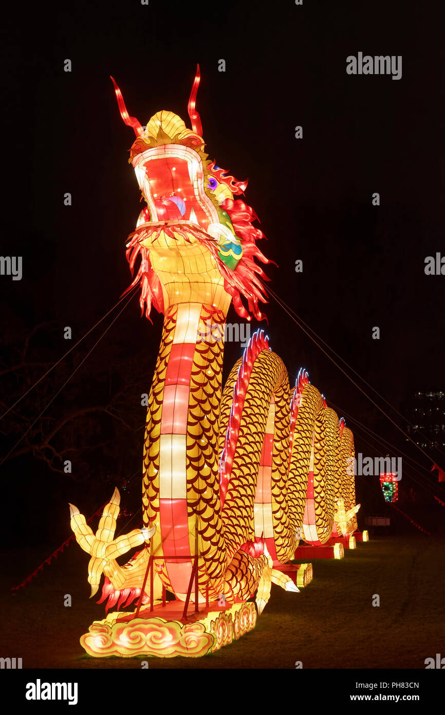 Dragon chinois, éclairé la figure, l'installation d'éclairage, la Chine Fête des Lumières, Zoo de Cologne, Cologne, Rhénanie du Nord-Westphalie Banque D'Images