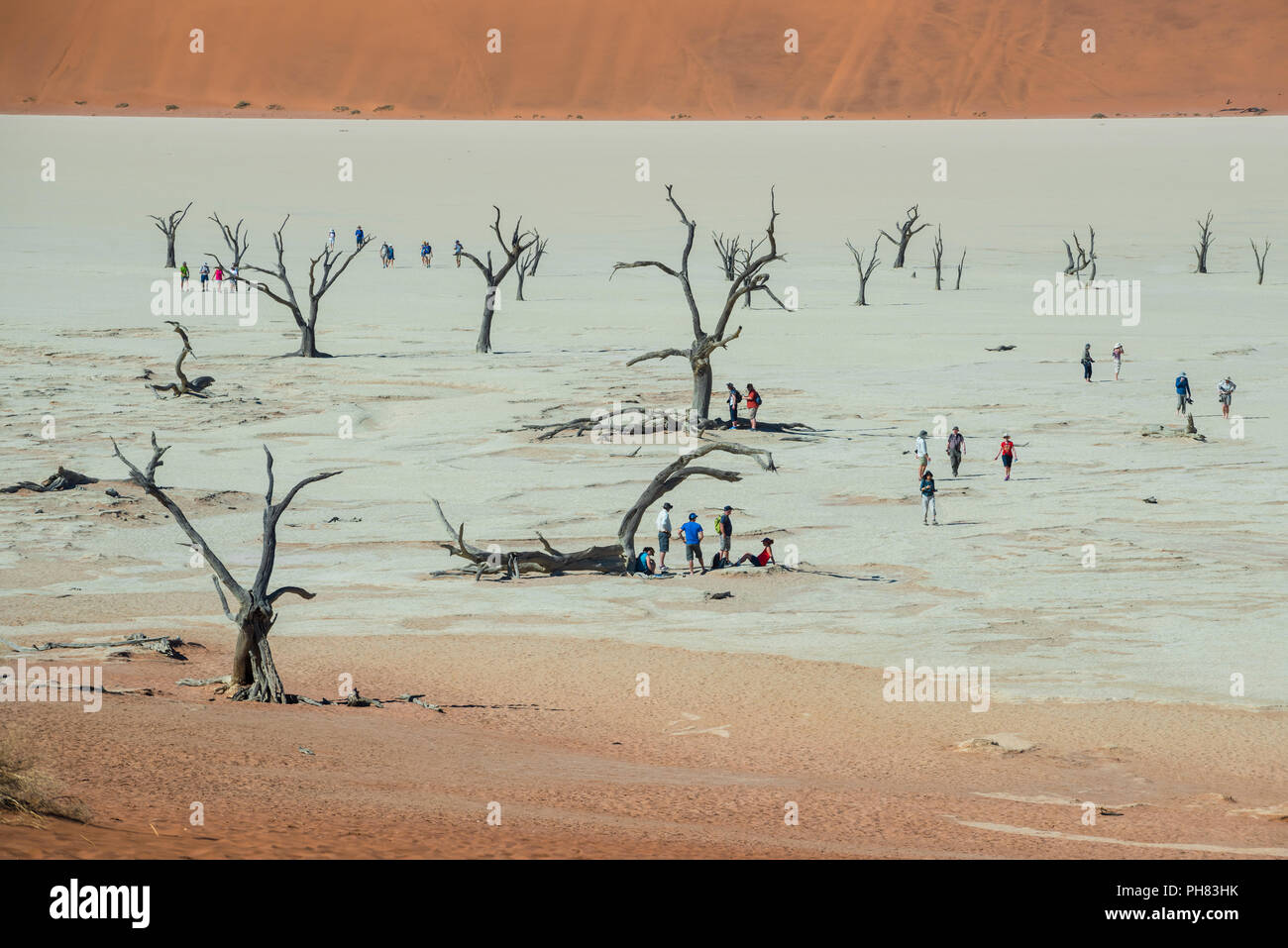 Touristes entre arbres camelthorn morts (Acacia erioloba) en face des dunes de sable, Dead Vlei, Sossusvlei, Désert du Namib Banque D'Images