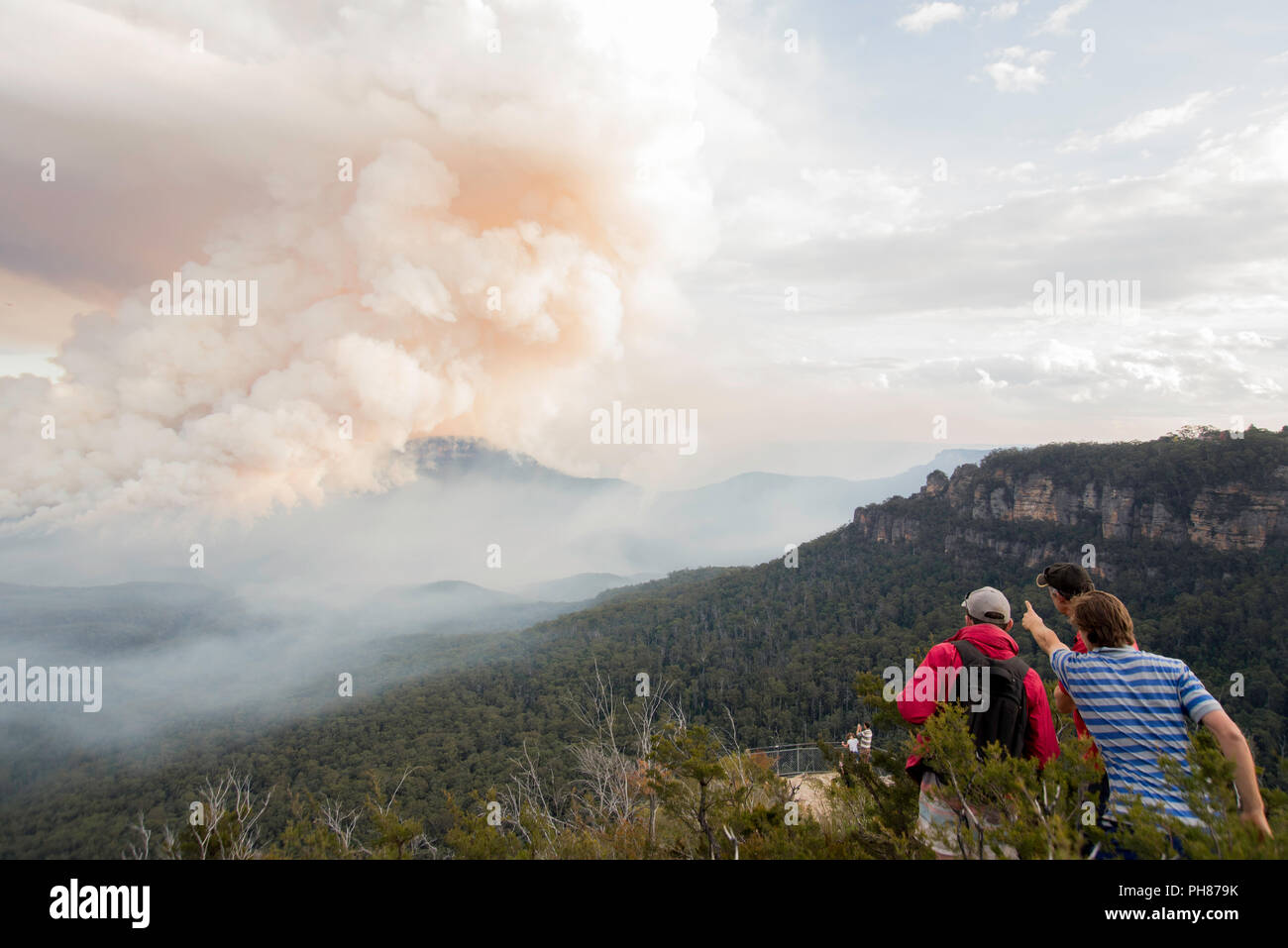Homme pointant à la réduction des risques d'incendie au Mont solitaire, Blue Mountains, Australie Banque D'Images