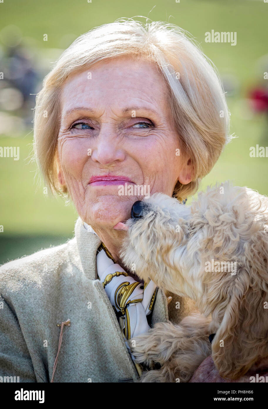 Country Fair Présidente Mary Berry est léché par un chien appelé Henry pendant la Chatsworth Country Fair de Bakewell, Derbyshire. Banque D'Images