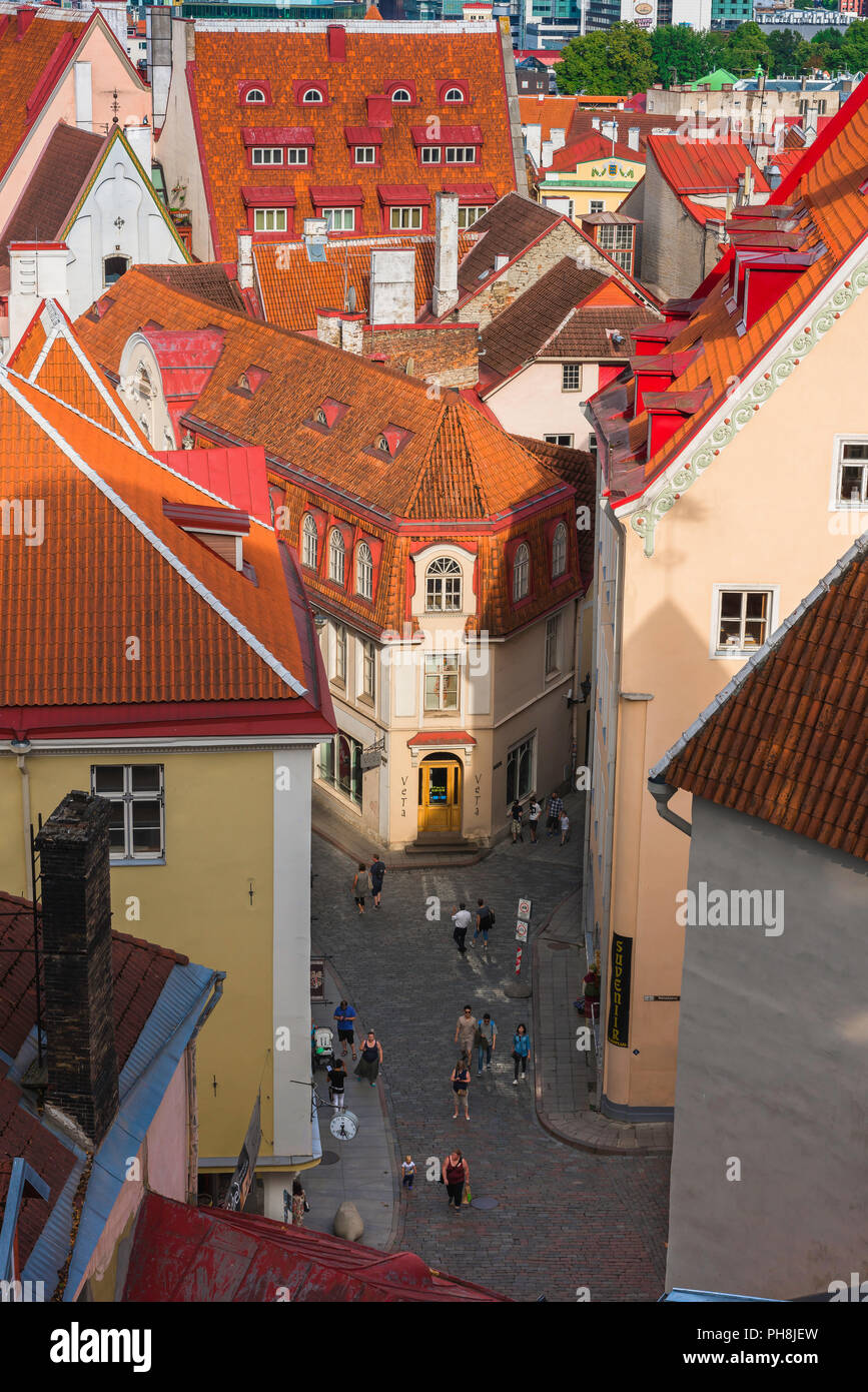Tallinn rue, vue sur toits orange vers une rue étroite de la vieille ville médiévale de Tallinn, Estonie trimestre. Banque D'Images