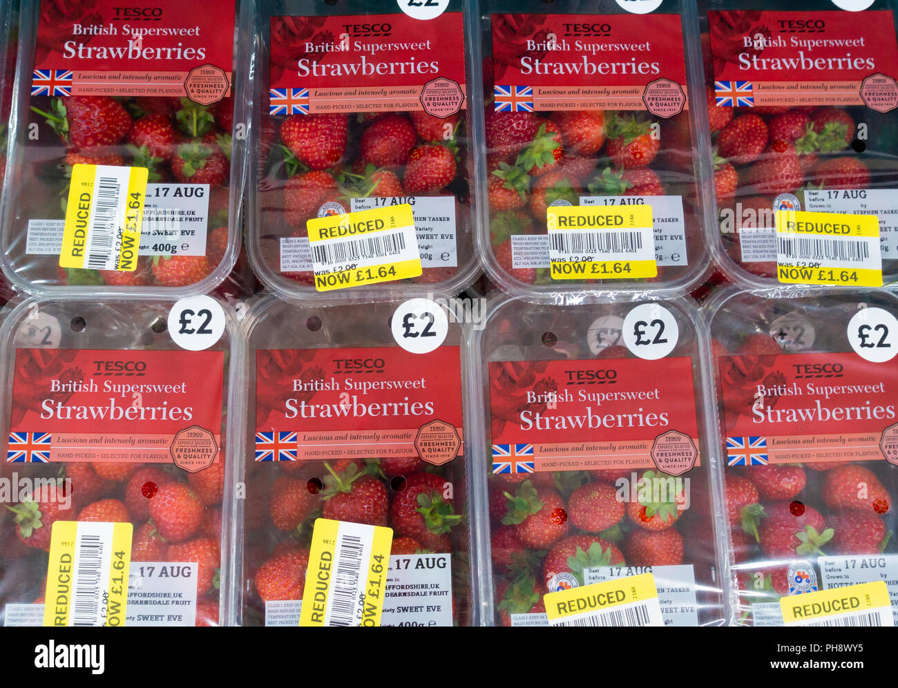 Fraises britanniques dans des contenants en plastique de supermarché Tesco. UK Banque D'Images