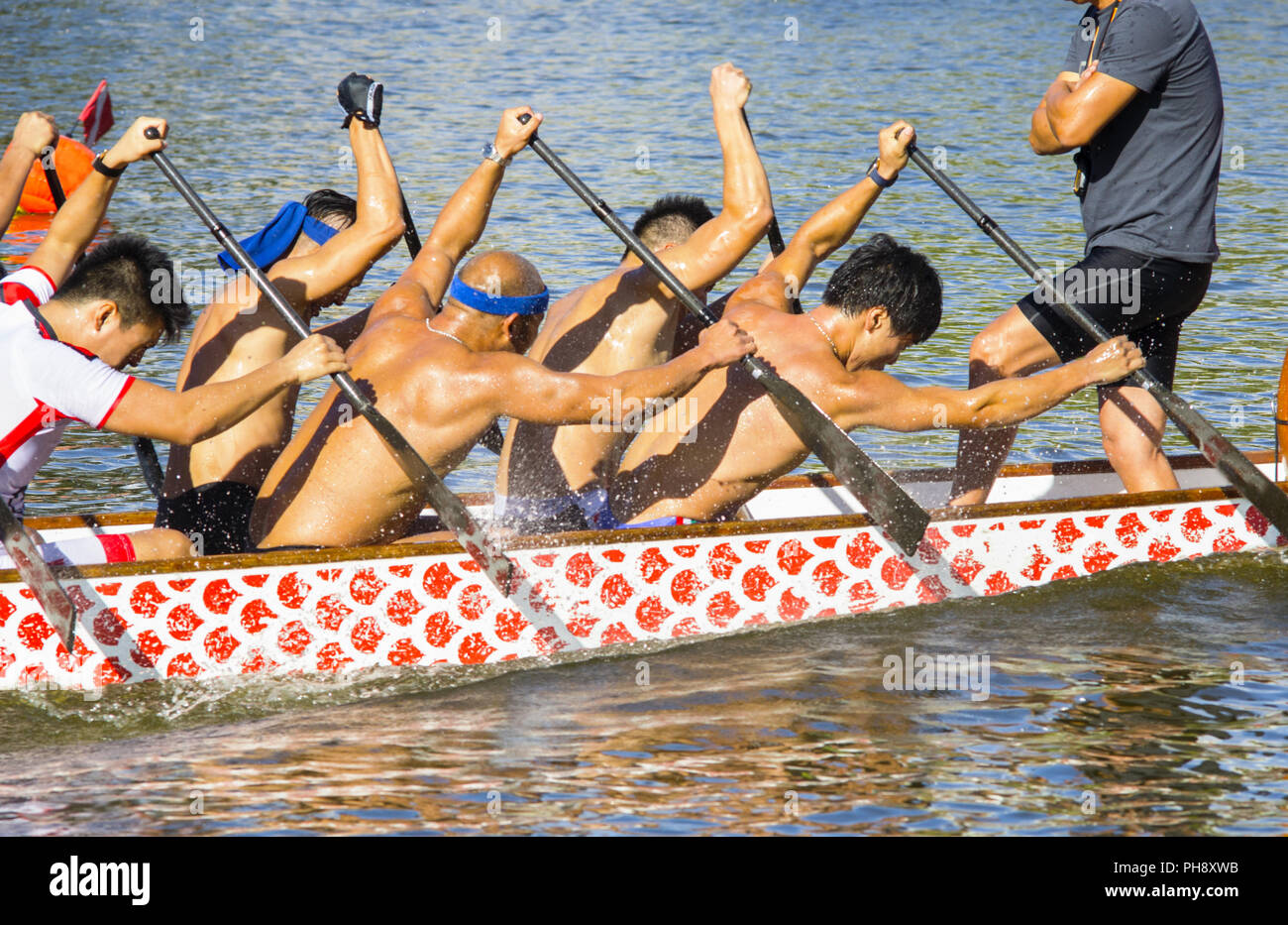 Équipe dans un effort pendant une course de canoës Banque D'Images