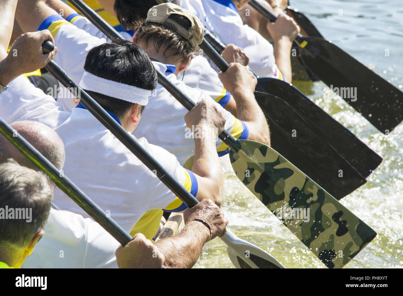 L'effort durant une course de canoës Banque D'Images