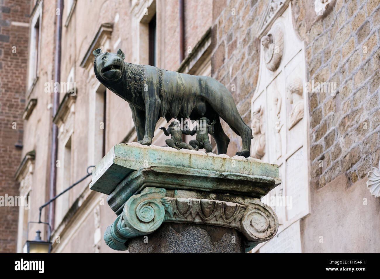 Statue de loup Capitoline Romulus et Remus l'alimentation à Rome Banque D'Images